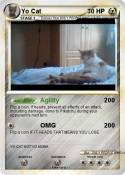 Yo Cat