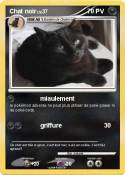 Chat noir