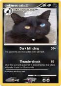 darkness cat