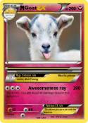 Goat