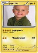 gage1234