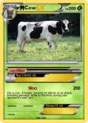 Cow