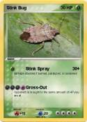 Stink Bug