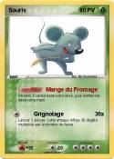 Souris