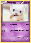 cute puppy
