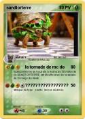 sandtorterre