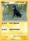 beauceron