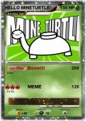 HELLO MINETURTL