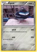 Pigeon