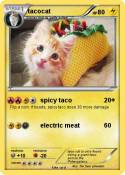 tacocat