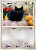 sam(my cat)
