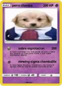 perro chamba