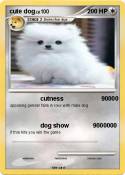 cute dog