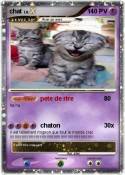 chat
