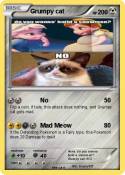 Grumpy cat