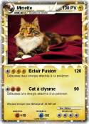 Minette