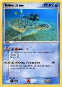 Tortue de mer