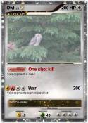 Owl