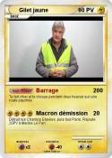 Gilet jaune