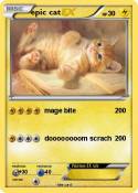 epic cat
