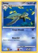 Tortue
