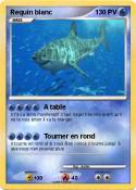 Requin blanc