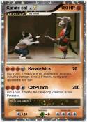 Karate cat