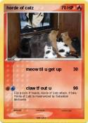 horde of catz