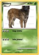 leonberg