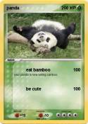 panda
