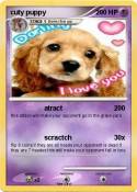 cuty puppy