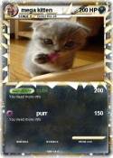 mega kitten
