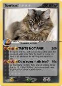 Sparticat!