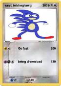 sanic teh hegha