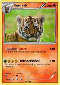 tiger cub