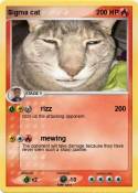 Sigma cat