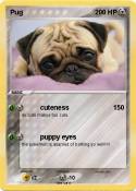 Pug