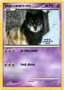 dogo canario