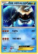 THE MEGALODON