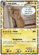 chat drole