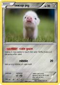 teacup pig