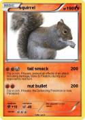 squirrel