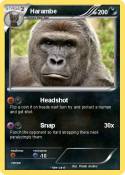Harambe