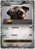 Pugachu