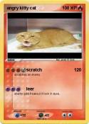 angry kitty cat