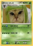 sitrono cat