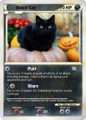 Black Cat