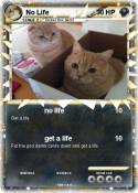 No Life