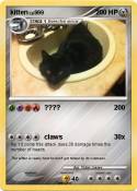 kitten