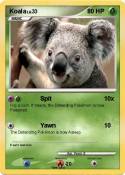 Koala